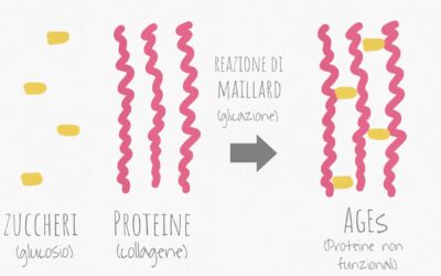 Glicazione e invecchiamento cutaneo: il Peptide Carnosine